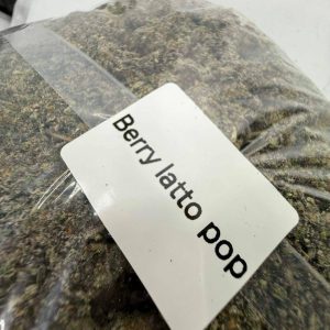 Lato pop strain