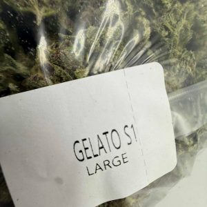 Gelato S1 Strain