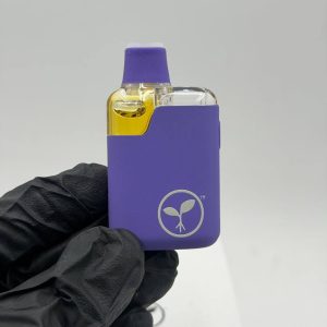 Raw Garden All In One 2g Disposable Distillate